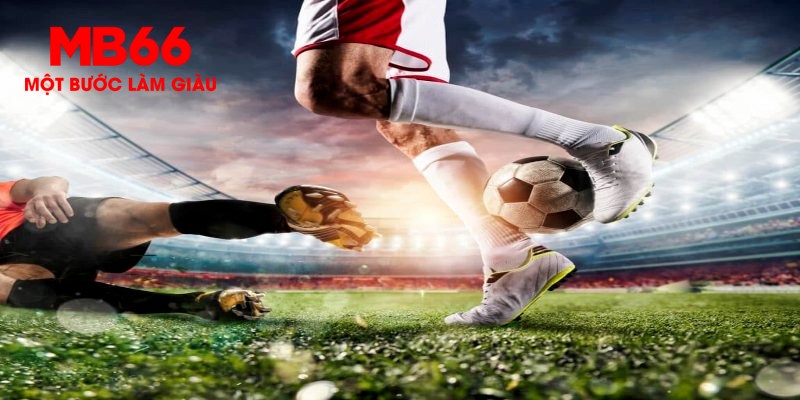 nohu88 trực tiếp đá gà thomo