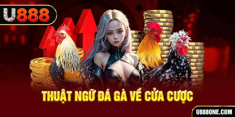 nohu88 hơn cả bạn bè