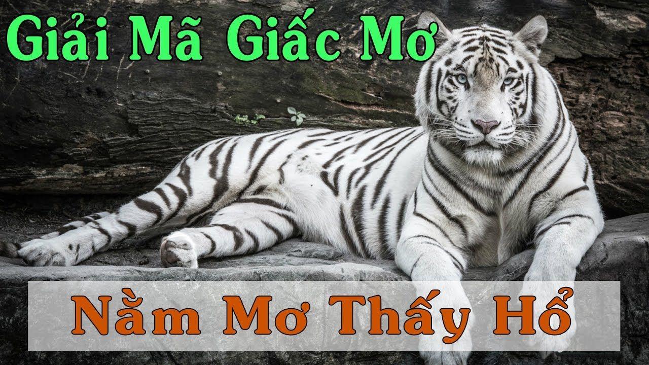 nohu88 nổ hũ là game gì