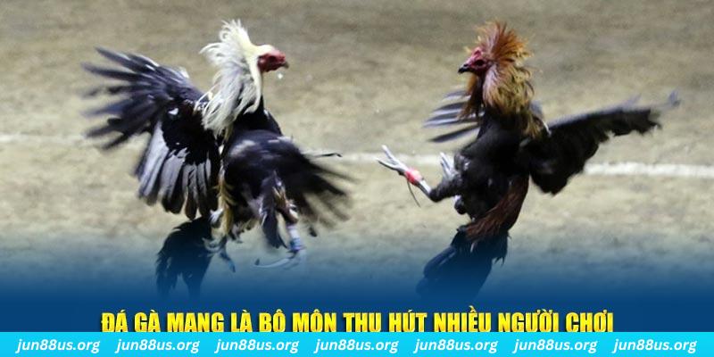 nohu88 nổ hủ nghĩa là gì