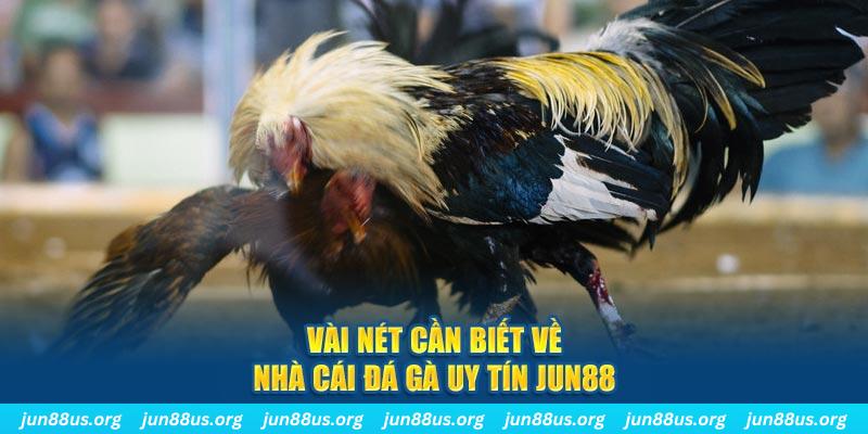 nohu88 đăng nhập phỏm khuyến mãi