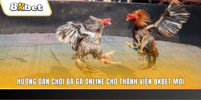 nohu88 JILI Game Bài 3d