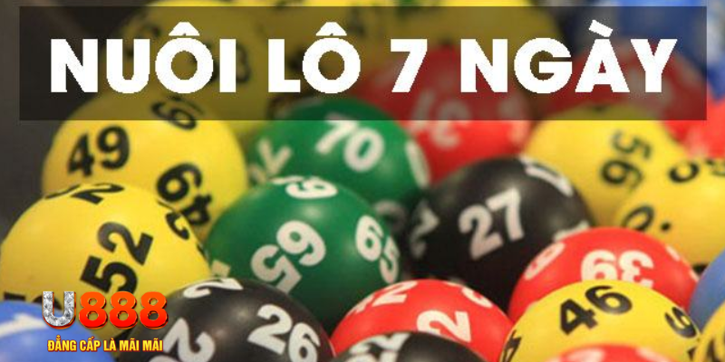 nohu88 đăng nhập mậu binh tặng tiền
