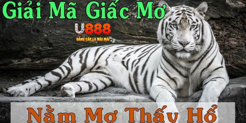 nohu88 xổ số miền bắc xổ số miền bắc