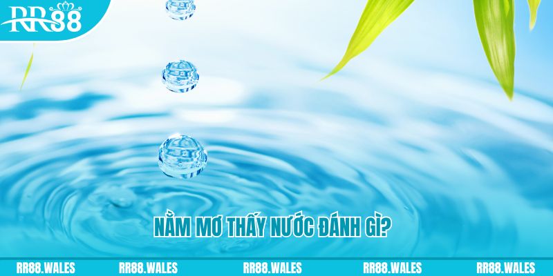 nohu88 TCG Xổ Số