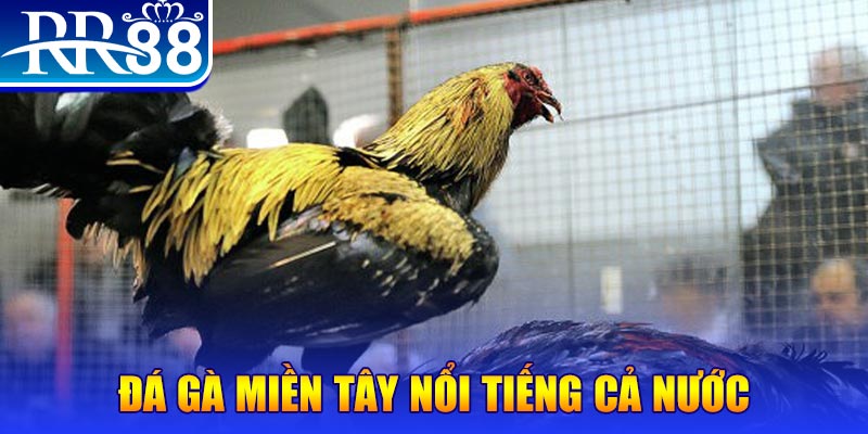 nohu88 xổ số đại phát