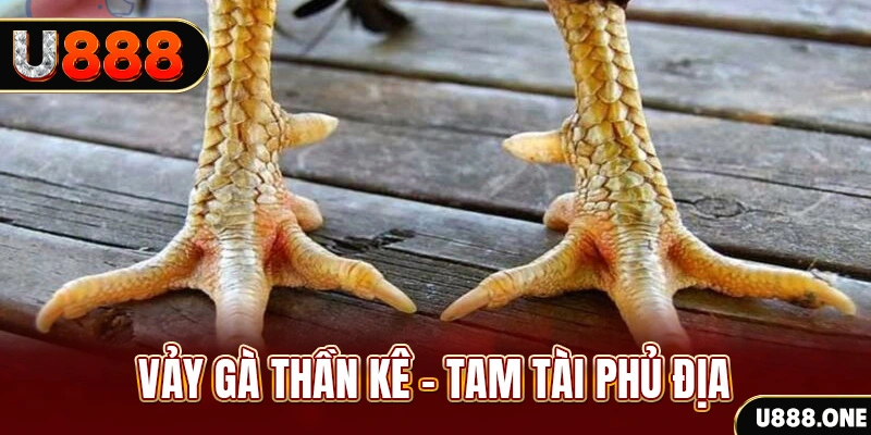 nohu88 xổ số miền trung thứ hai hàng tuần