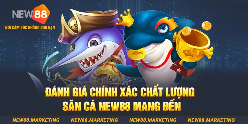 nohu88 đăng nhập mậu binh mới nhất