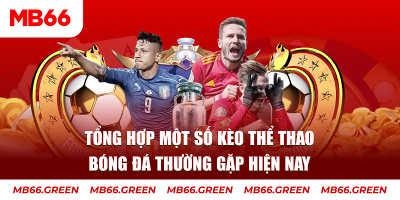 nohu88 người chia bài trong casino gọi là gì