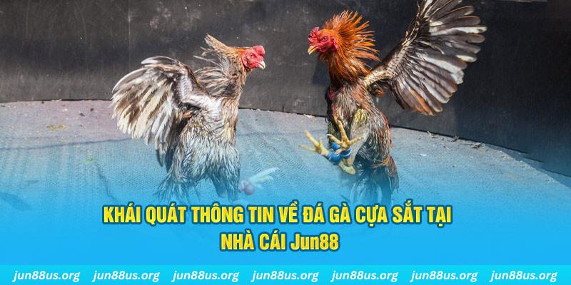 nohu88 xổ số miền bắc thứ bảy hàng tuần