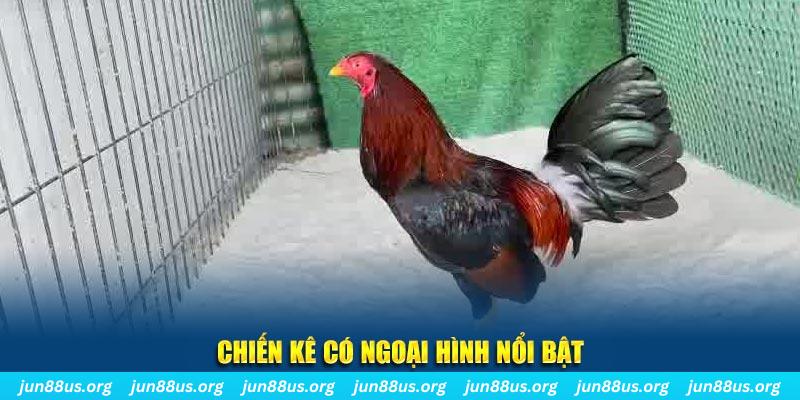nohu88 game bắn cá