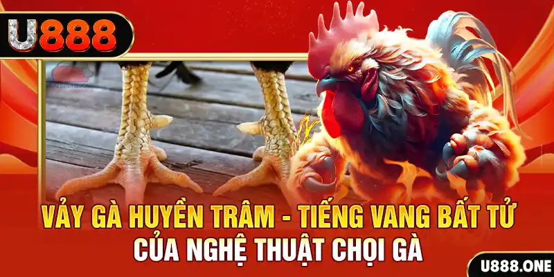 nohu88 đăng nhập roulette trực tuyến