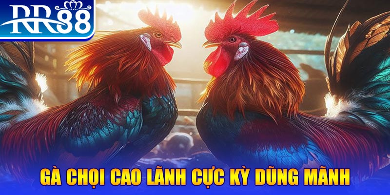 nohu88 HB Điện Tử
