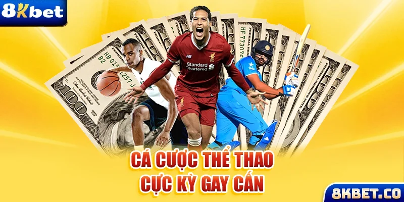 nohu88 xem đá gà trực tiếp